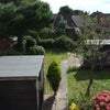 Photo 8: Rear Gdn with ORP behind shed