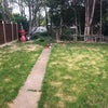 Photo 4: Back garden 