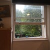 Photo 5: Studio window