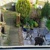 Photo 8: View of patio from bedsit window