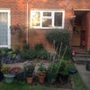 Photo 3: the garden in summer 
