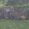 Photo 4: Garden