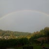 Photo 5: Views