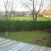 Photo 8: Garden