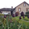Photo 7: Back of house