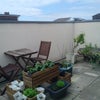 Photo 3: Roof terrace
