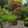Photo 6: View of our garden
