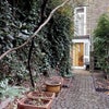Photo 5: Garden