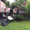 Photo 3: the lovely garden 