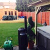Photo 5: Garden