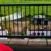 Photo 2: Garden from living room balcony 