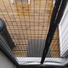 Photo 8: Graden with Decking