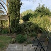 Photo 8: Back garden
