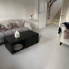 Photo 6: Shared living space 