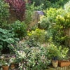 Photo 7: Outdoor space