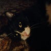 Photograph of Darren