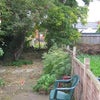 Photo 5: Garden