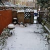 Photo 6: Garden in winter