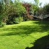 Photo 6: BIGGEST GARDEN YOU'LL SEE!!