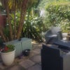 Photo 8: Back garden