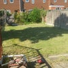 Photo 2: Back yard