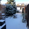 Photo 5: Garden in snow:)