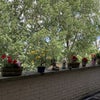 Photo 4: Balcony