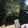 Photo 5: The garden...