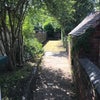 Photo 5: Rear garden