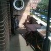 Photo 2: Garden or Patio