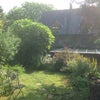 Photo 5: House and garden on a sunny morning