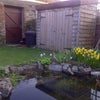 Photo 5: Garden