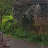 Photo 5: View from window