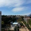 Photo 5: The garden