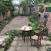 Photo 8: Garden