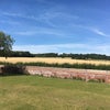 Photo 7: Beautiful views across to Cookham with footpaths and bridal ways