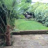Photo 8: Private garden 
