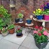 Photo 5: Patio