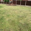 Photo 8: Garden