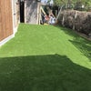 Photo 6: Garden with new turf grass