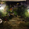 Photo 8: ... and by night.