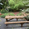 Photo 7: Garden 