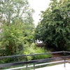 Photo 4: Balcony view