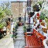 Photo 8: Small garden