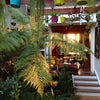 Photo 3: Kitchen-conservatory 