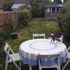 Photo 3: Garden