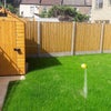 Photo 3: Garden