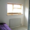 Photo 5: Bedroom Window (lot of natural light)