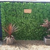 Photo 4: Outdoor space