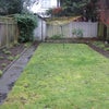 Photo 7: Garden